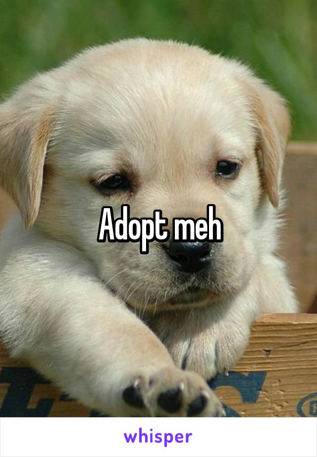 Adopt meh