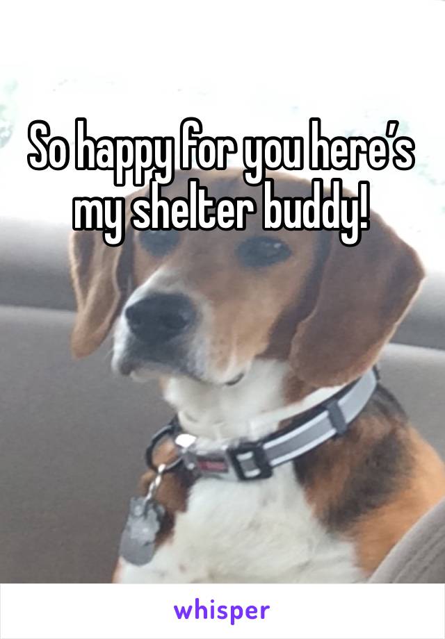 So happy for you here’s my shelter buddy!