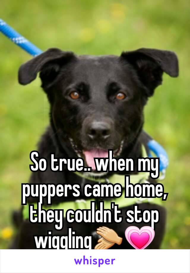 So true.. when my puppers came home, they couldn't stop wiggling👏💗