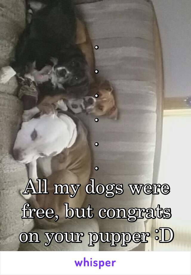 .
.
.
.
.
.
All my dogs were free, but congrats on your pupper :D