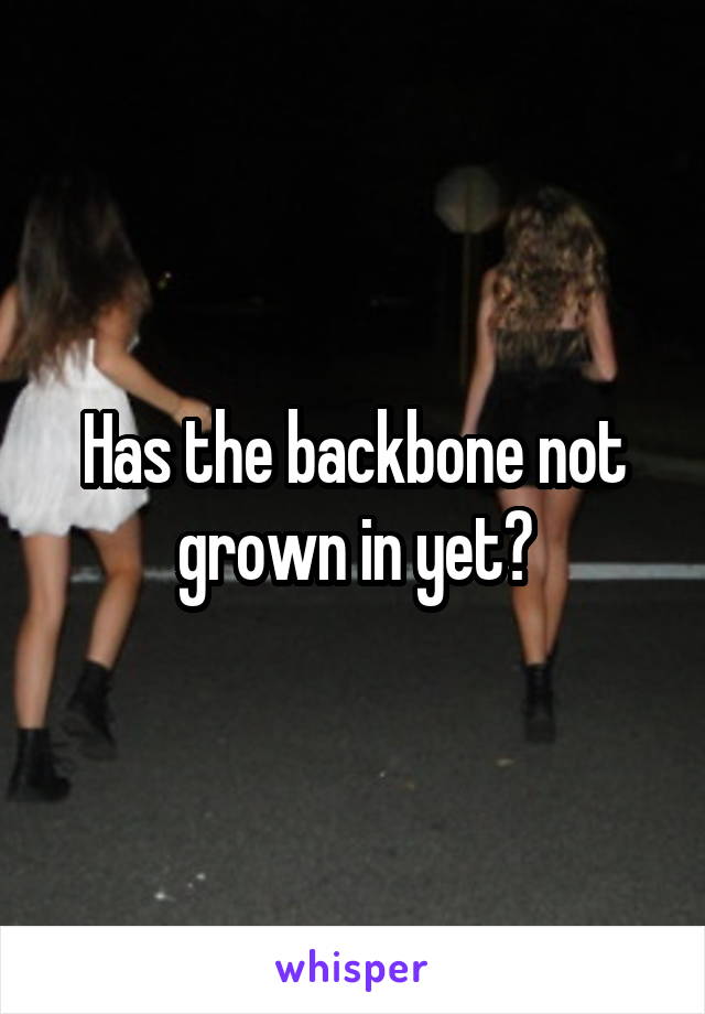 Has the backbone not grown in yet?