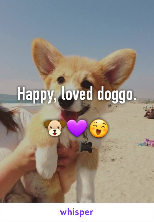 Happy, loved doggo.

🐶💜😄