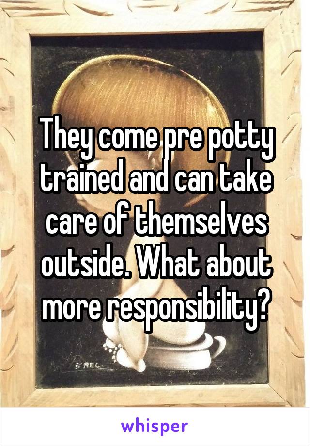 They come pre potty trained and can take care of themselves outside. What about more responsibility?