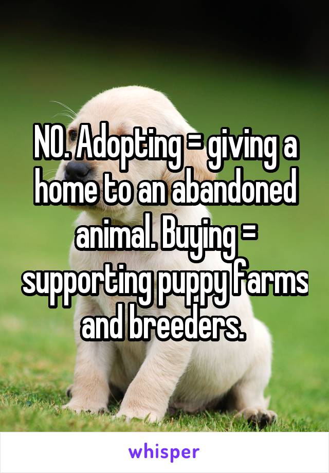 NO. Adopting = giving a home to an abandoned animal. Buying = supporting puppy farms and breeders. 