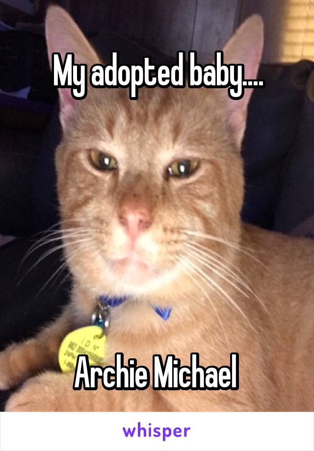 My adopted baby....






Archie Michael 