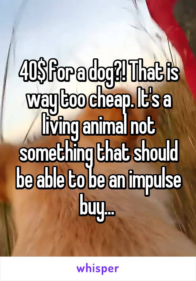 40$ for a dog?! That is way too cheap. It's a living animal not something that should be able to be an impulse buy... 