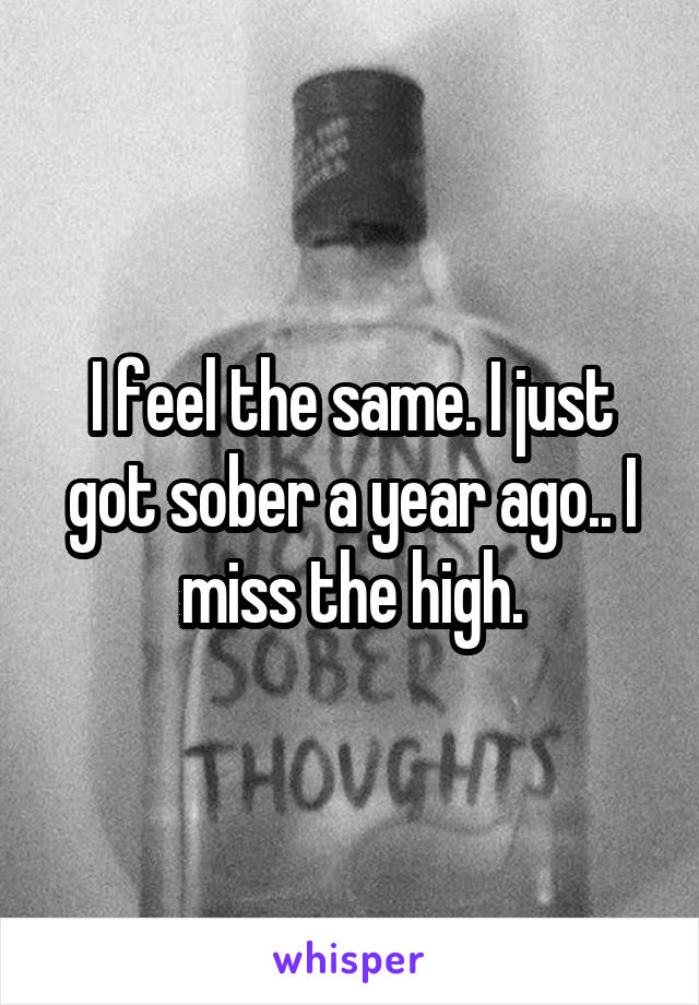 I feel the same. I just got sober a year ago.. I miss the high.