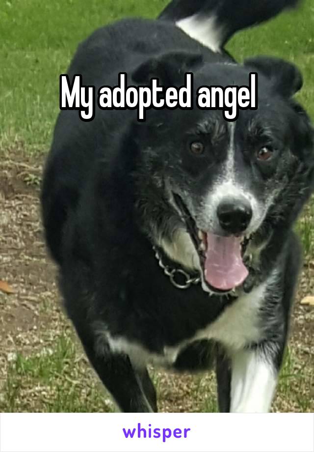 My adopted angel





