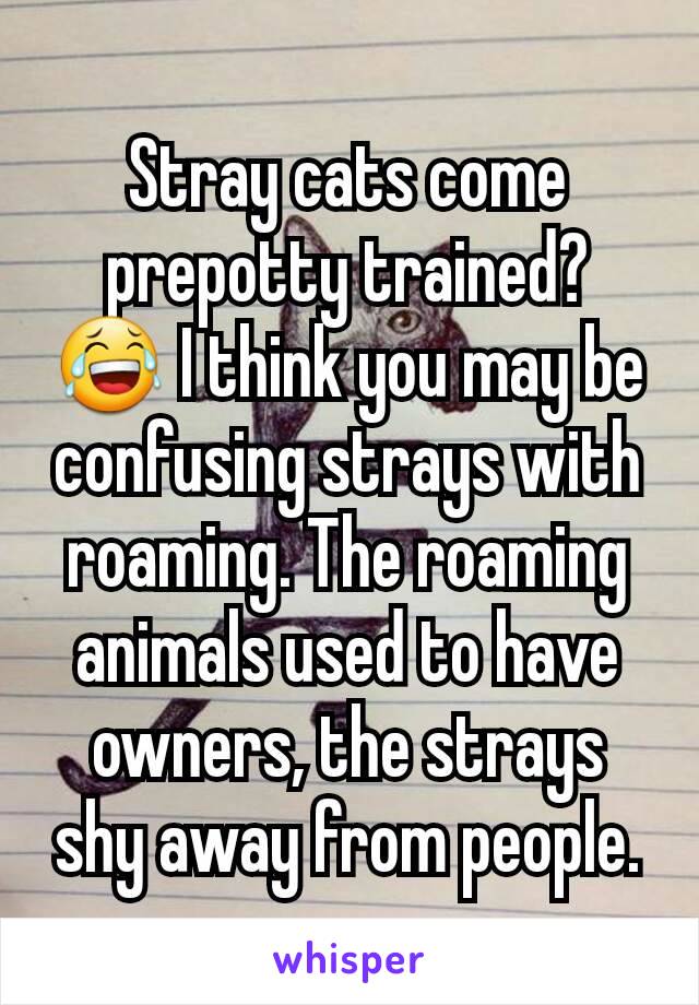 Stray cats come prepotty trained? 😂 I think you may be confusing strays with roaming. The roaming animals used to have owners, the strays shy away from people.