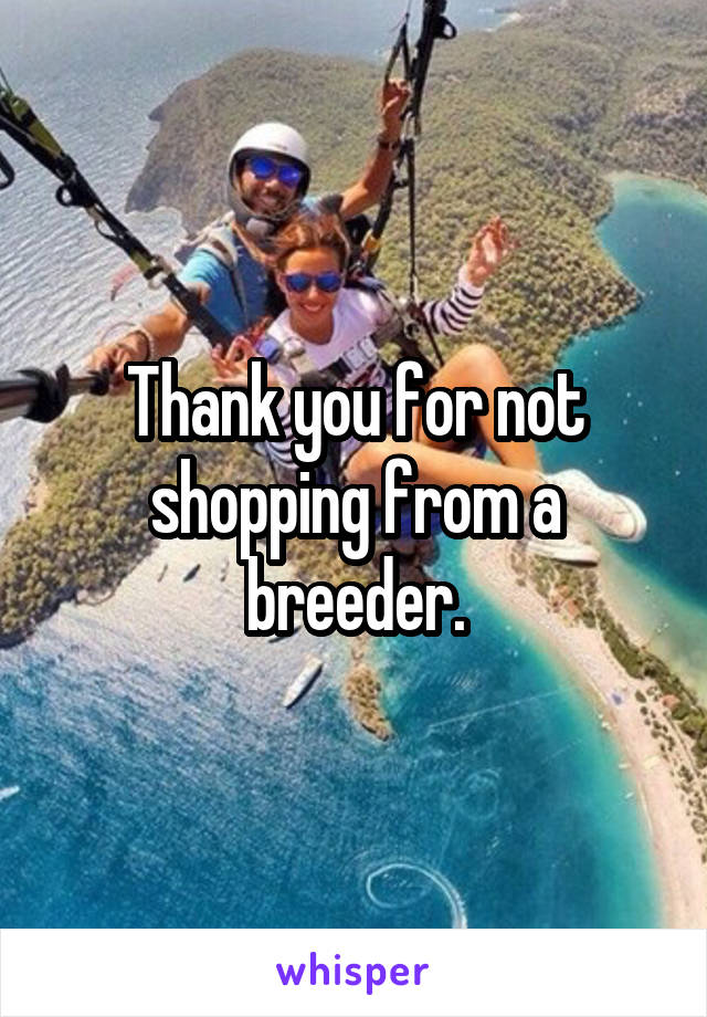 Thank you for not shopping from a breeder.