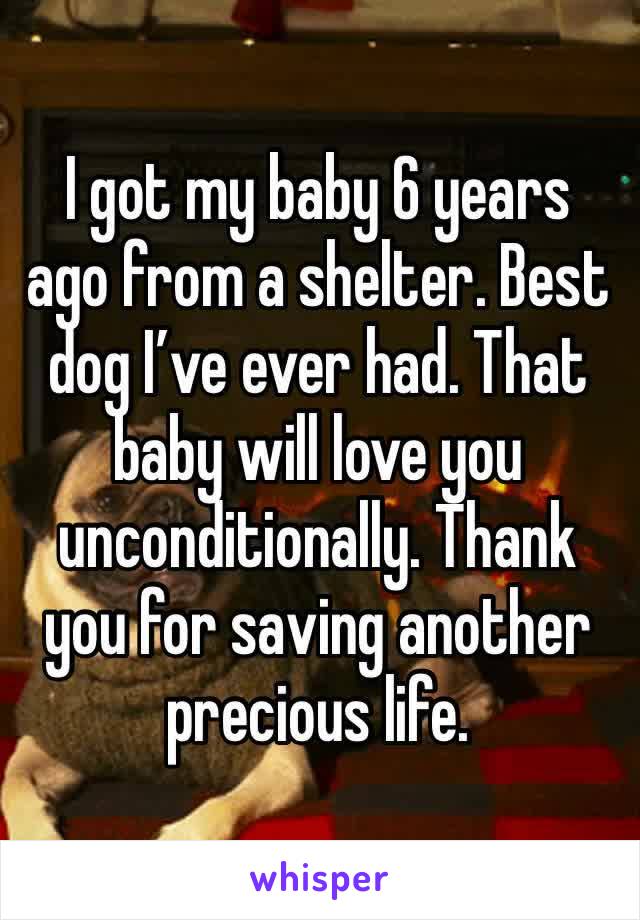 I got my baby 6 years ago from a shelter. Best dog I’ve ever had. That baby will love you unconditionally. Thank you for saving another precious life. 