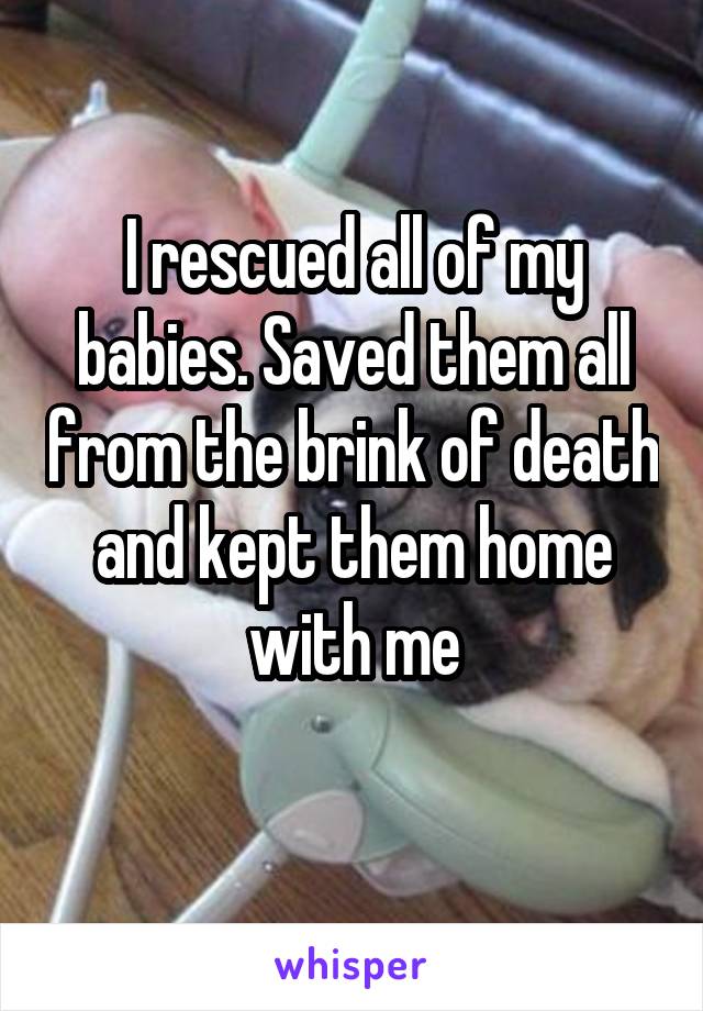 I rescued all of my babies. Saved them all from the brink of death and kept them home with me
