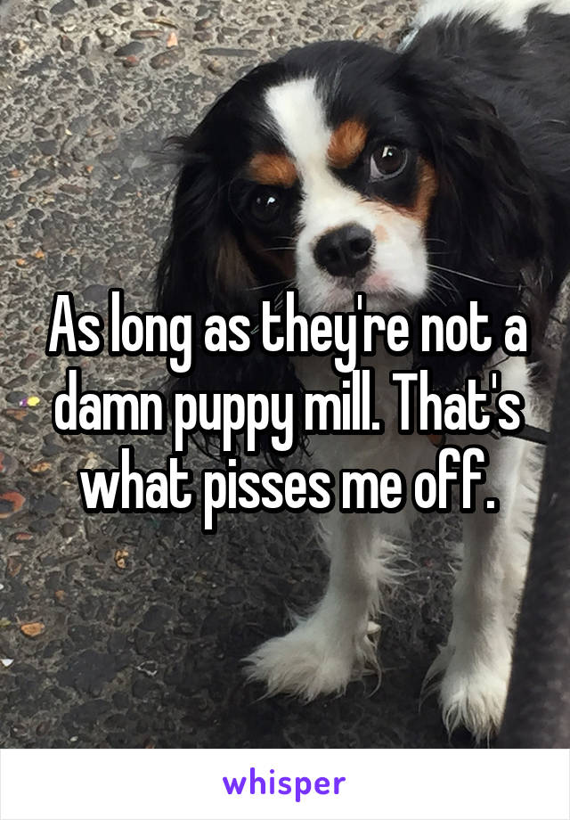 As long as they're not a damn puppy mill. That's what pisses me off.