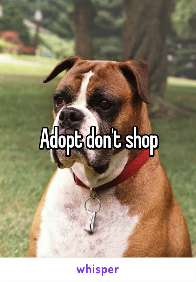 Adopt don't shop