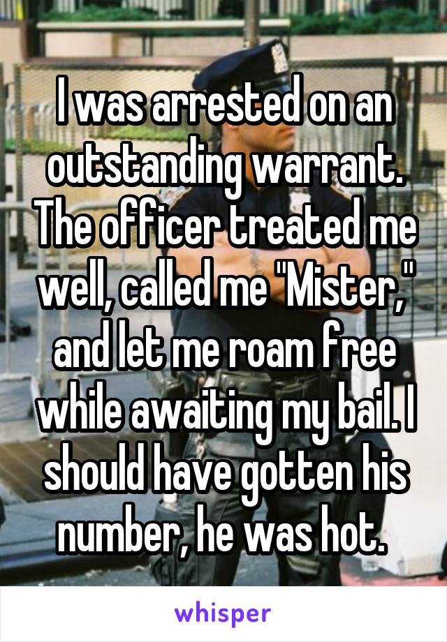 I was arrested on an outstanding warrant. The officer treated me well, called me "Mister," and let me roam free while awaiting my bail. I should have gotten his number, he was hot. 