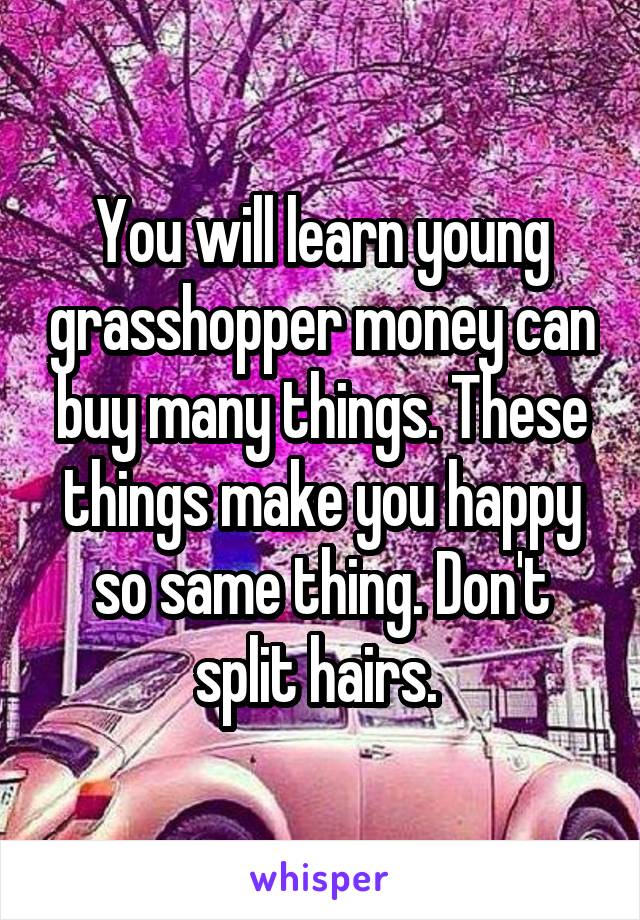 You will learn young grasshopper money can buy many things. These things make you happy so same thing. Don't split hairs. 