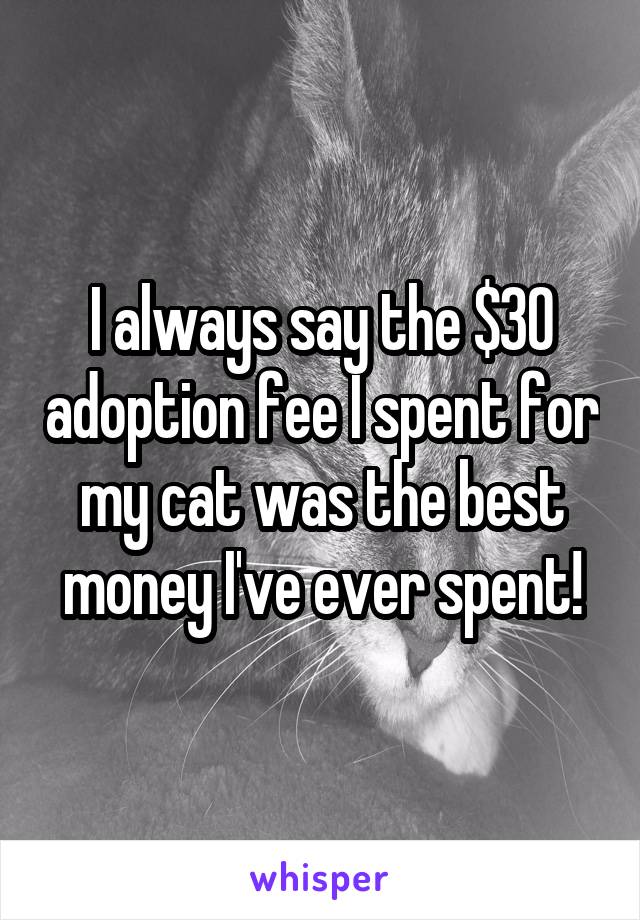 I always say the $30 adoption fee I spent for my cat was the best money I've ever spent!