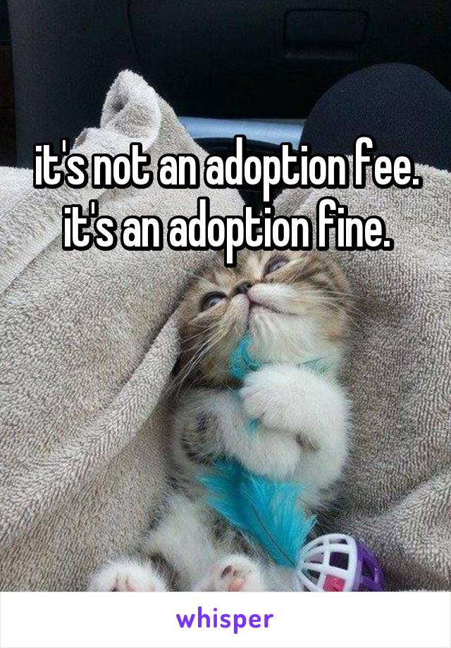 it's not an adoption fee.
it's an adoption fine.



