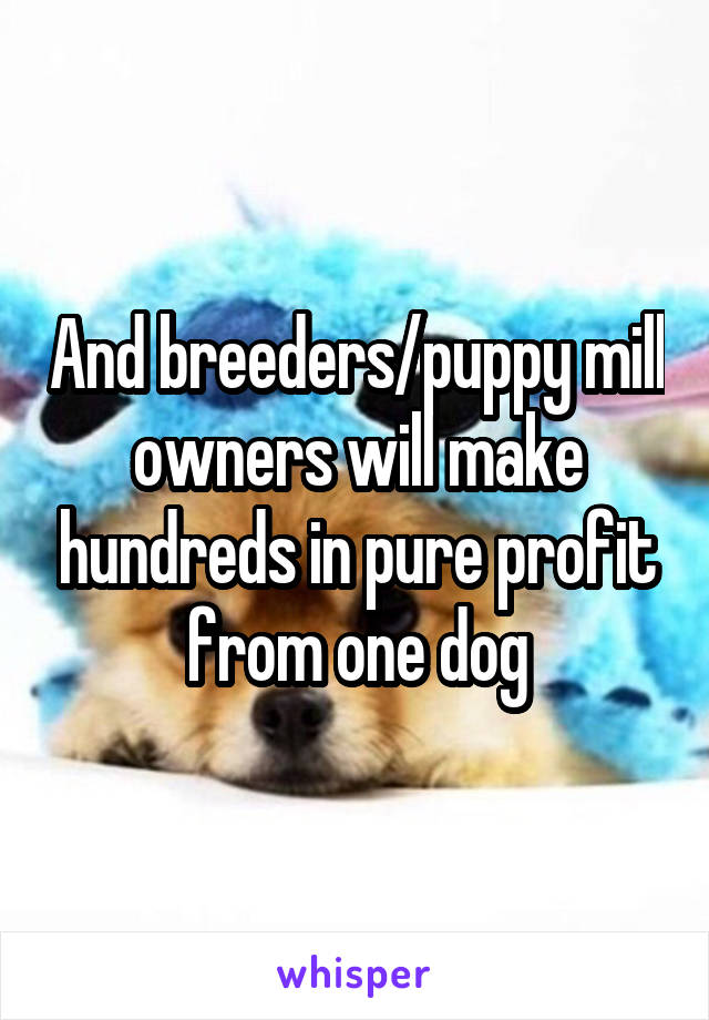 And breeders/puppy mill owners will make hundreds in pure profit from one dog