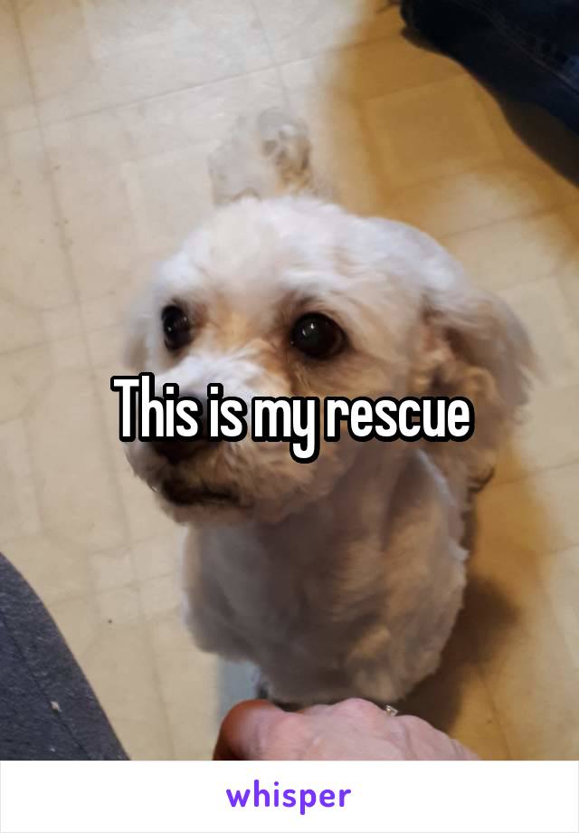 This is my rescue