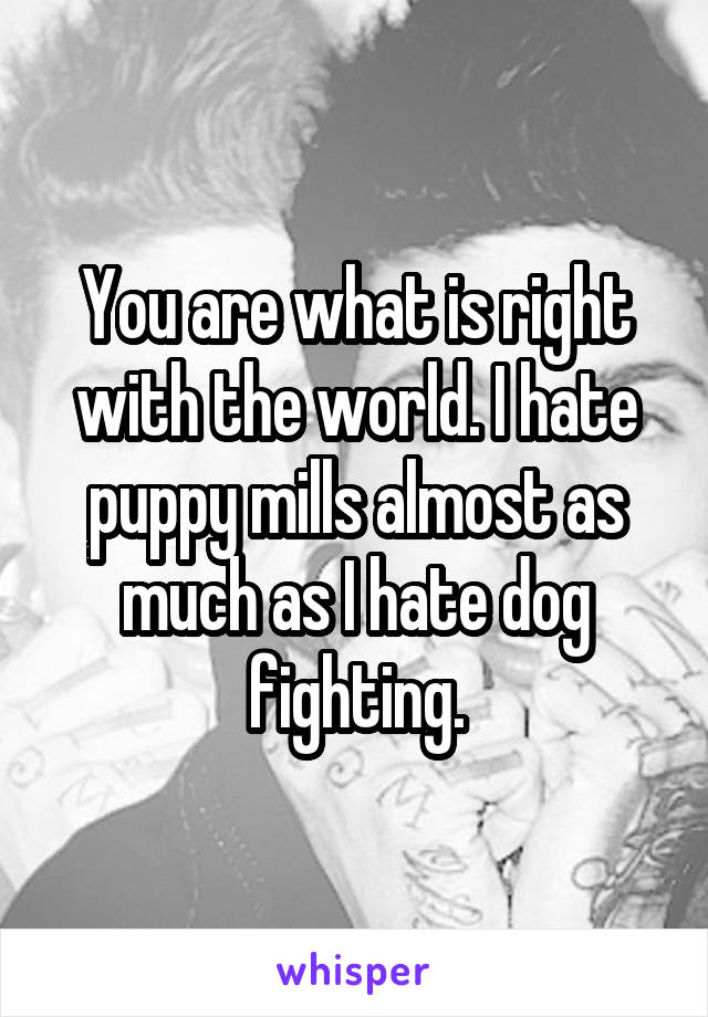 You are what is right with the world. I hate puppy mills almost as much as I hate dog fighting.