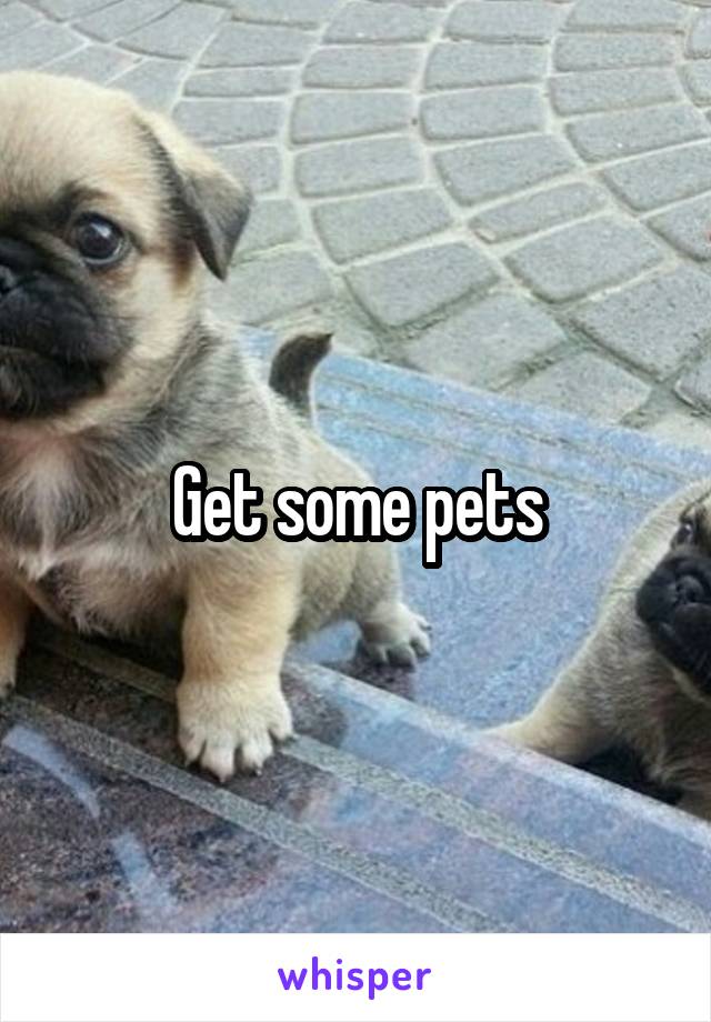 Get some pets