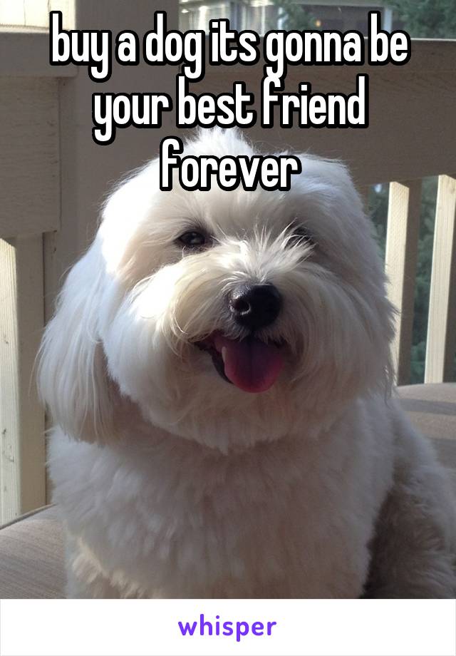 buy a dog its gonna be your best friend forever






