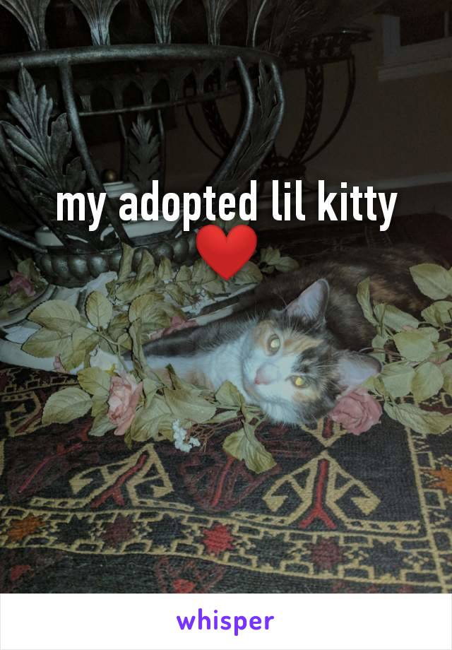 my adopted lil kitty ❤️