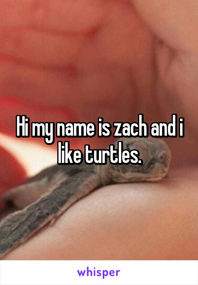 Hi my name is zach and i like turtles.