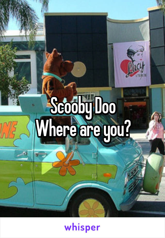 Scooby Doo
Where are you?