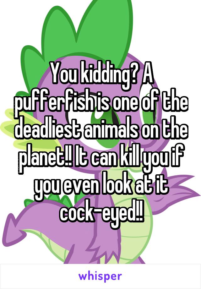 You kidding? A pufferfish is one of the deadliest animals on the planet!! It can kill you if you even look at it cock-eyed!!
