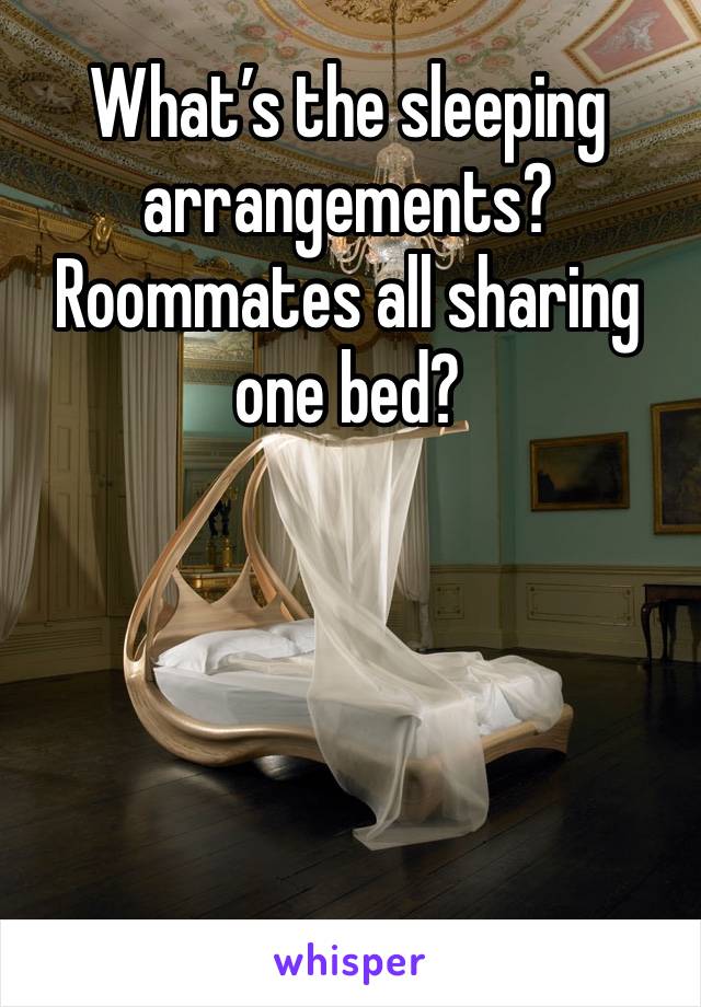 What’s the sleeping arrangements? Roommates all sharing one bed?