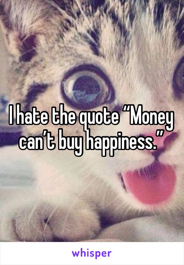 I hate the quote “Money can’t buy happiness.”