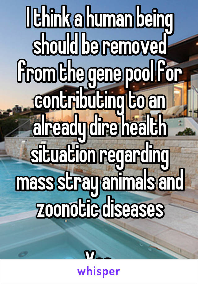 I think a human being should be removed from the gene pool for contributing to an already dire health situation regarding mass stray animals and zoonotic diseases

Yes.