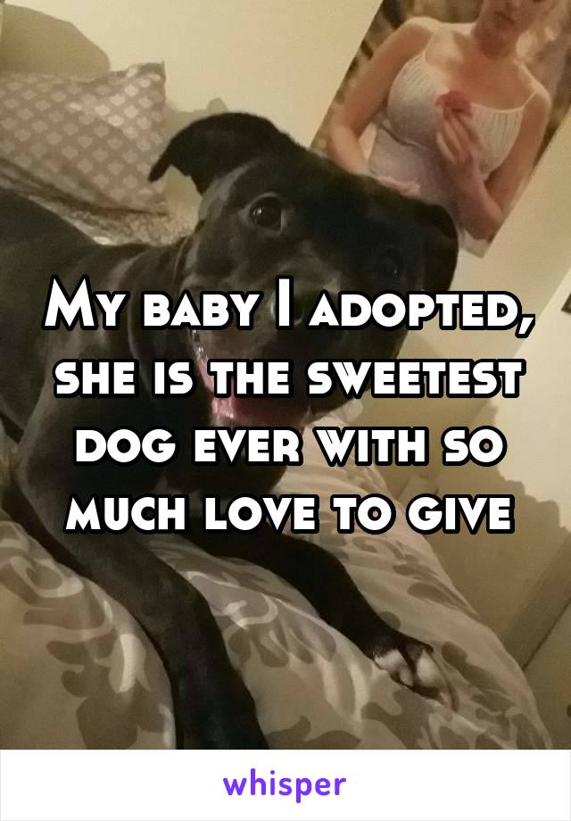 My baby I adopted, she is the sweetest dog ever with so much love to give