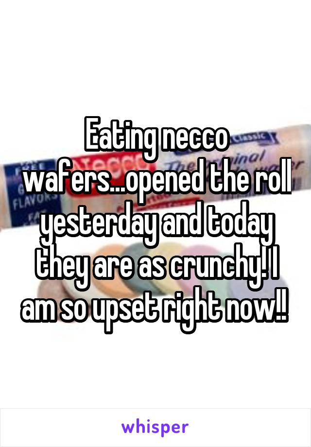 Eating necco wafers...opened the roll yesterday and today they are as crunchy! I am so upset right now!! 