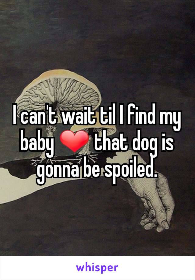 I can't wait til I find my baby ❤ that dog is gonna be spoiled.