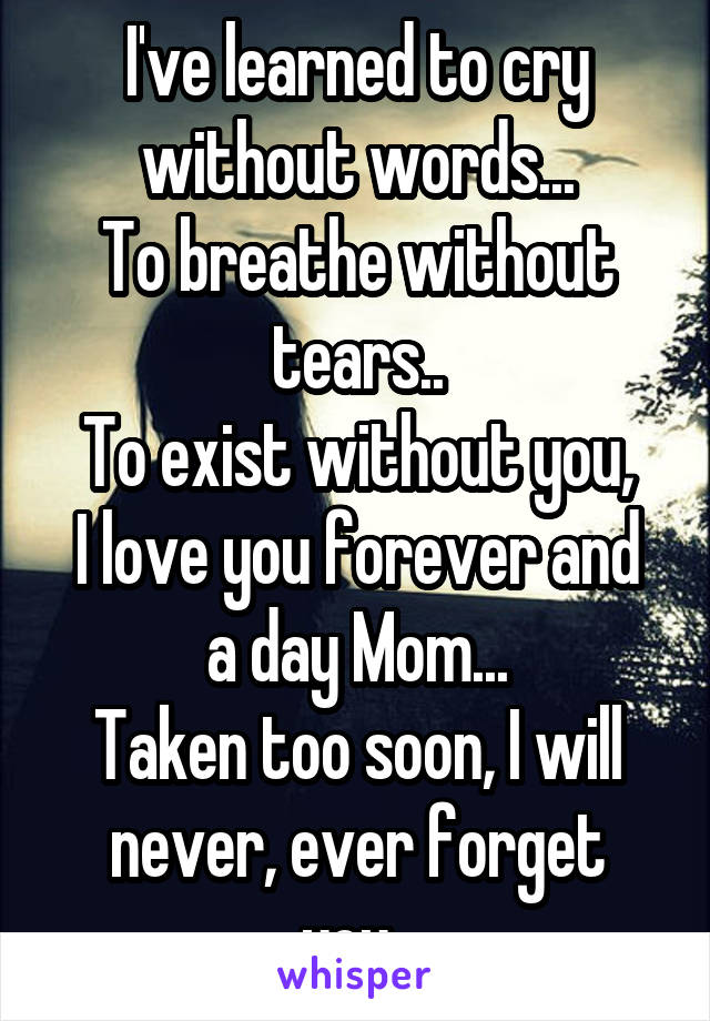 I've learned to cry without words...
To breathe without tears..
To exist without you,
I love you forever and a day Mom...
Taken too soon, I will never, ever forget you..