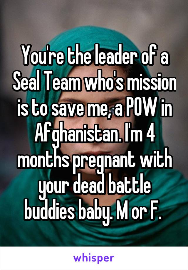 You're the leader of a Seal Team who's mission is to save me, a POW in Afghanistan. I'm 4 months pregnant with your dead battle buddies baby. M or F. 