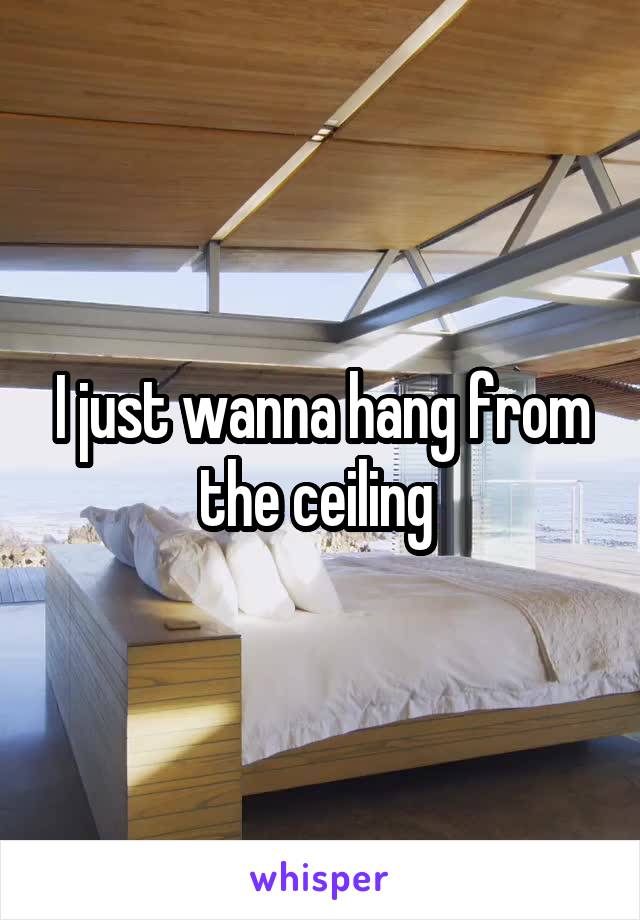 I just wanna hang from the ceiling 