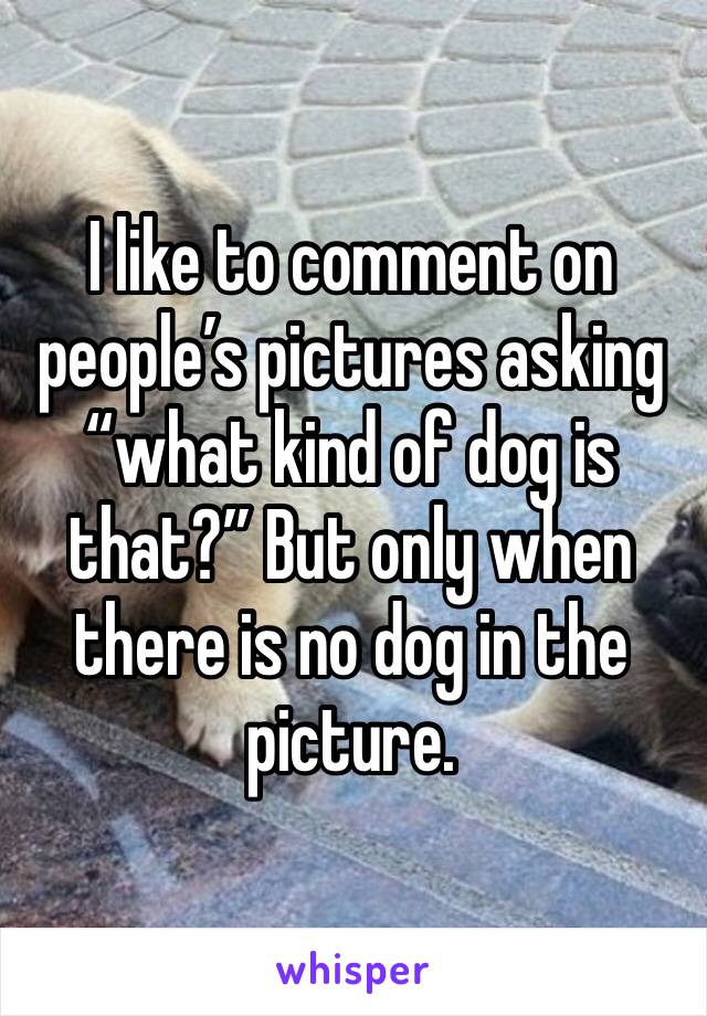 I like to comment on people’s pictures asking “what kind of dog is that?” But only when there is no dog in the picture. 