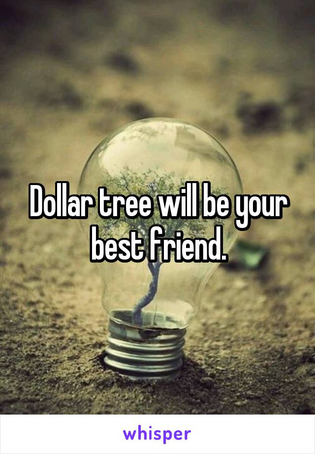 Dollar tree will be your best friend.