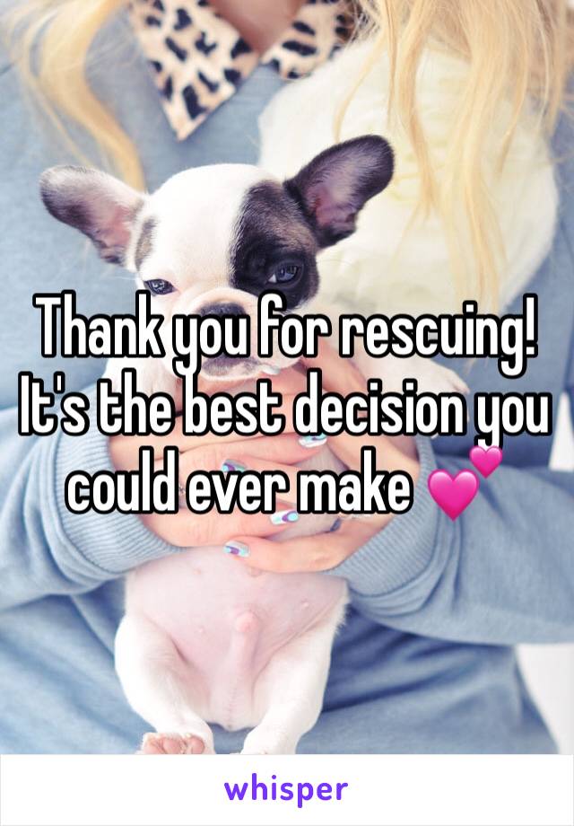 Thank you for rescuing! It's the best decision you could ever make 💕