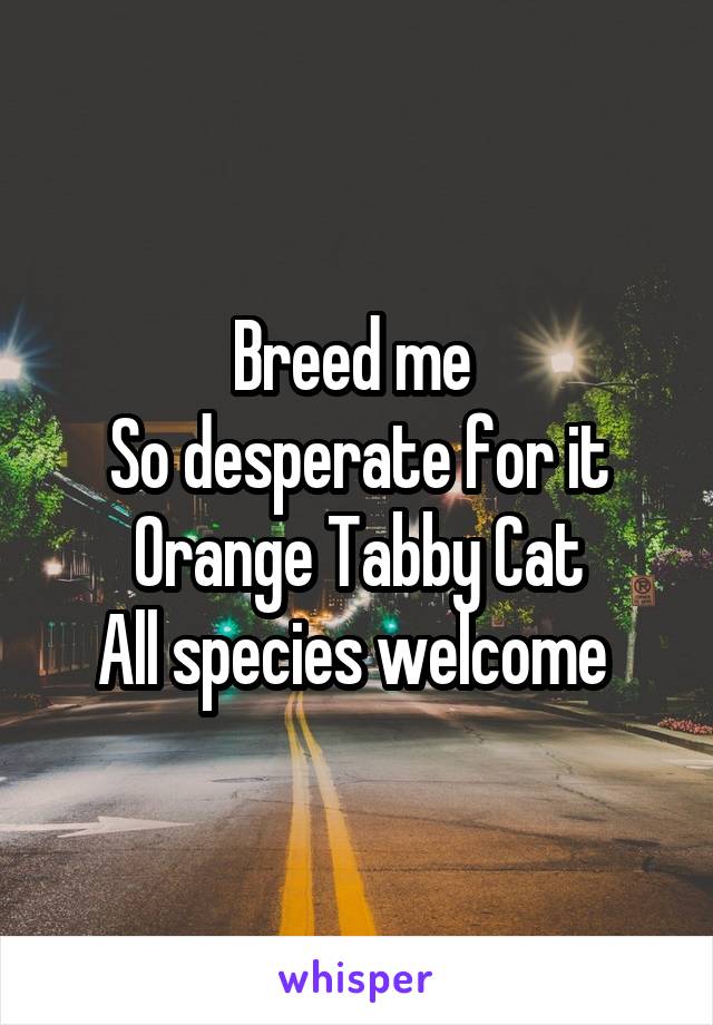 Breed me 
So desperate for it
Orange Tabby Cat
All species welcome 