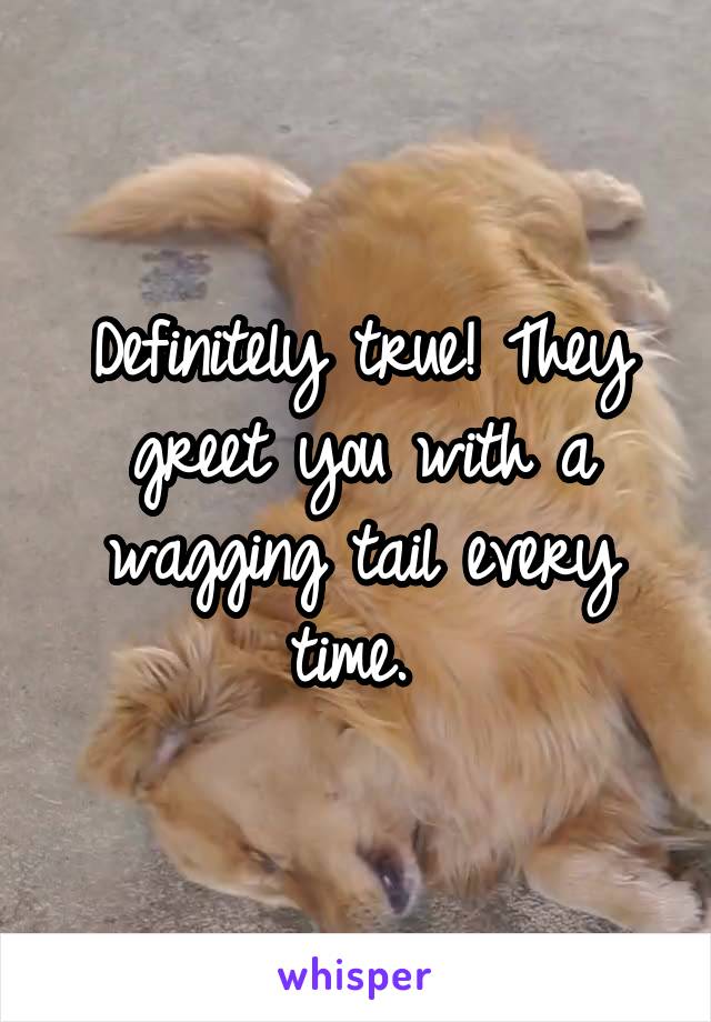 Definitely true! They greet you with a wagging tail every time. 