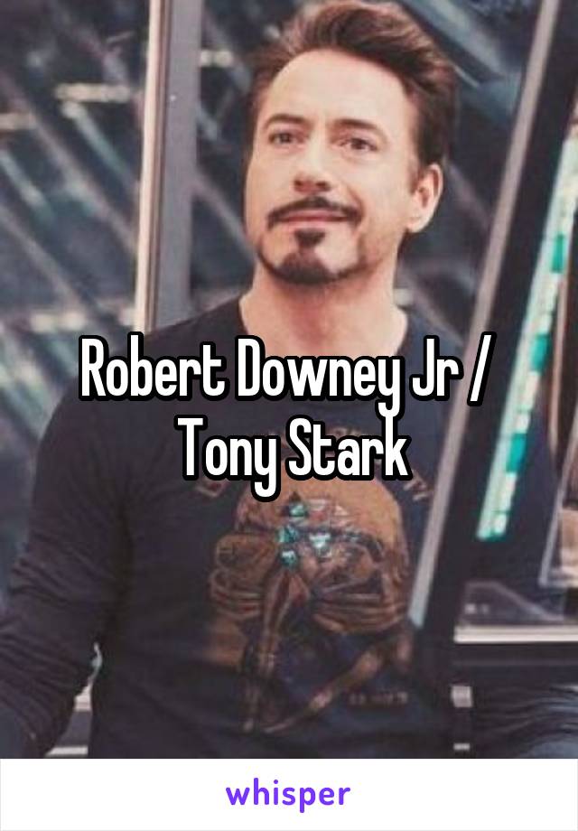 Robert Downey Jr / 
Tony Stark