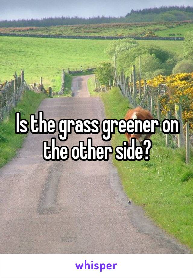 Is the grass greener on the other side?