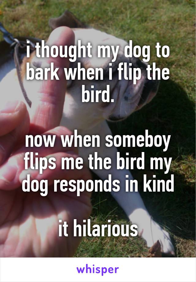 i thought my dog to bark when i flip the bird.

now when someboy flips me the bird my dog responds in kind

it hilarious