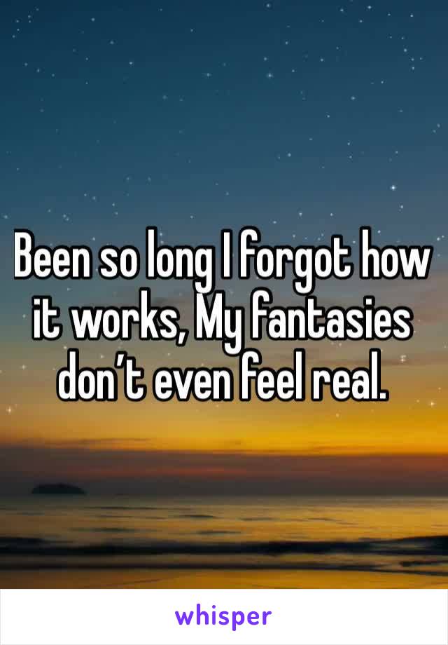 Been so long I forgot how it works, My fantasies don’t even feel real.