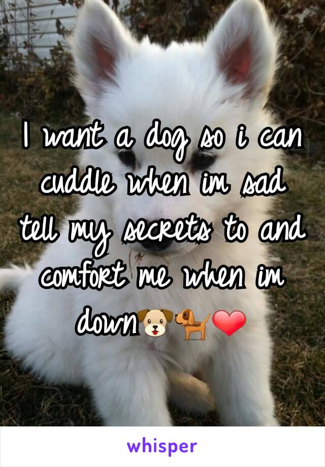 I want a dog so i can cuddle when im sad tell my secrets to and comfort me when im down🐶🐕❤